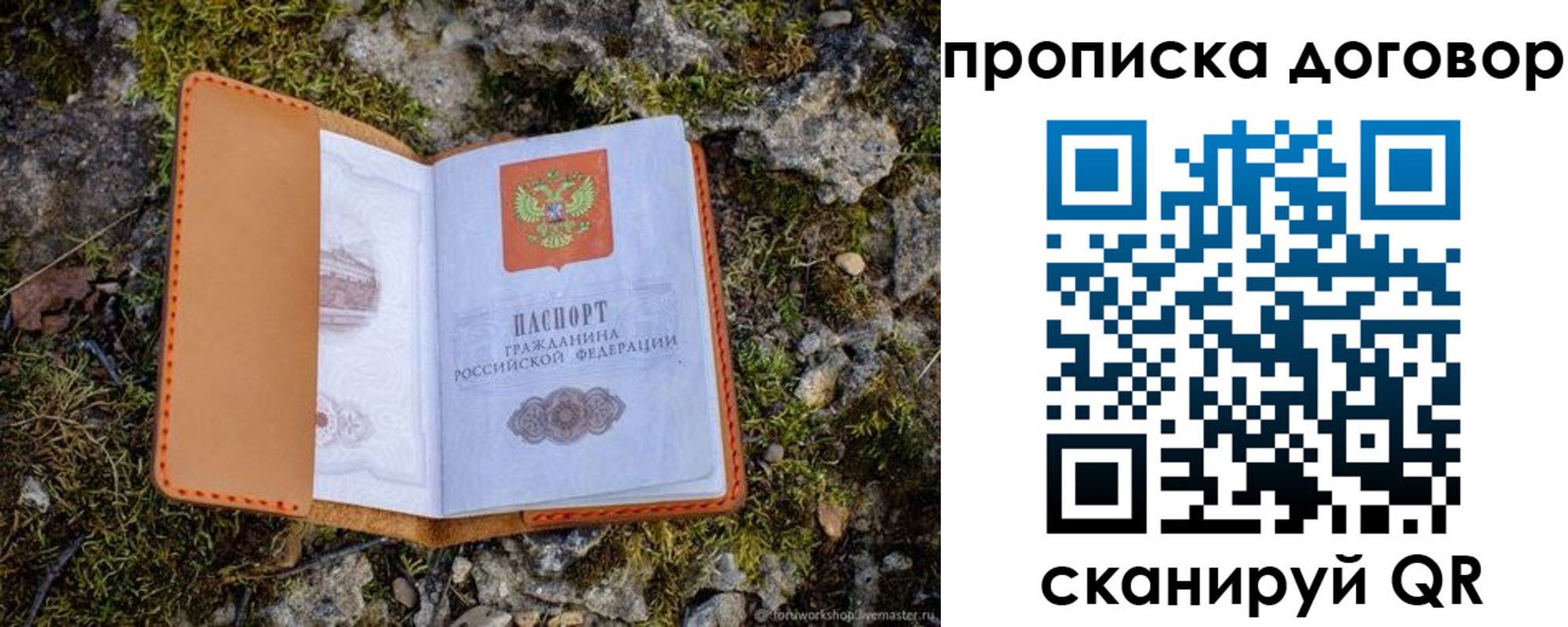 временная прописка в Дальнегорске
